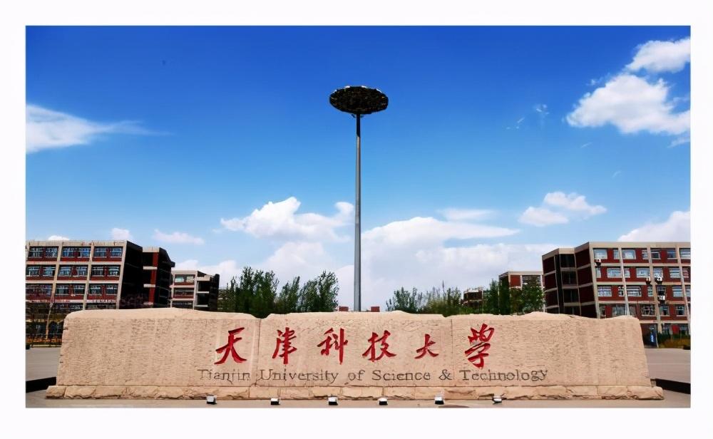 天津科技大学就业网，搭建学生与职场之间的桥梁