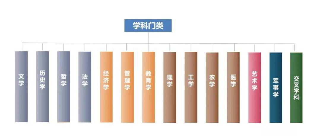 大学专业全览，解锁知识殿堂的万花筒