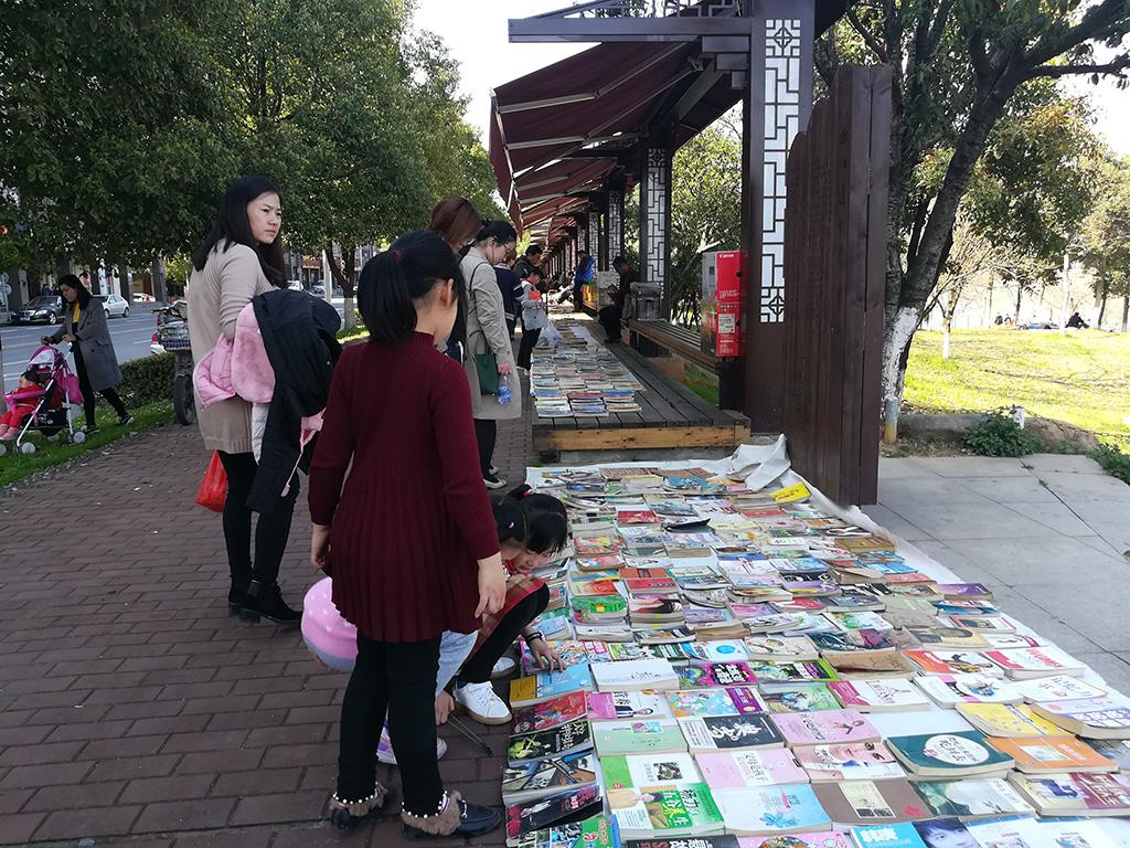 湖南科技职业学院，分数线背后的教育价值与选择考量