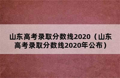 山东2020年高考分数线深度解析，竞争与机遇并存