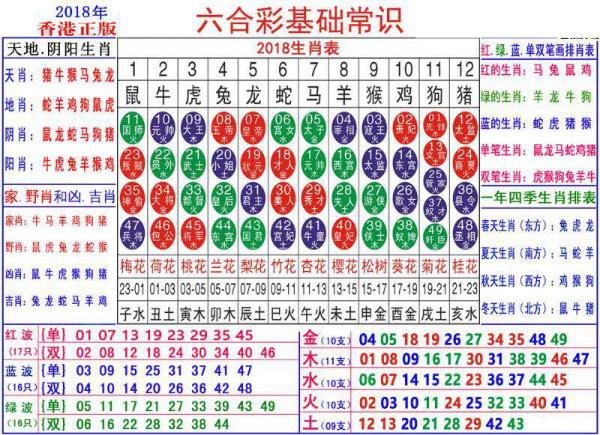 2024澳门正版资料大全资料生肖卡，揭秘与解析