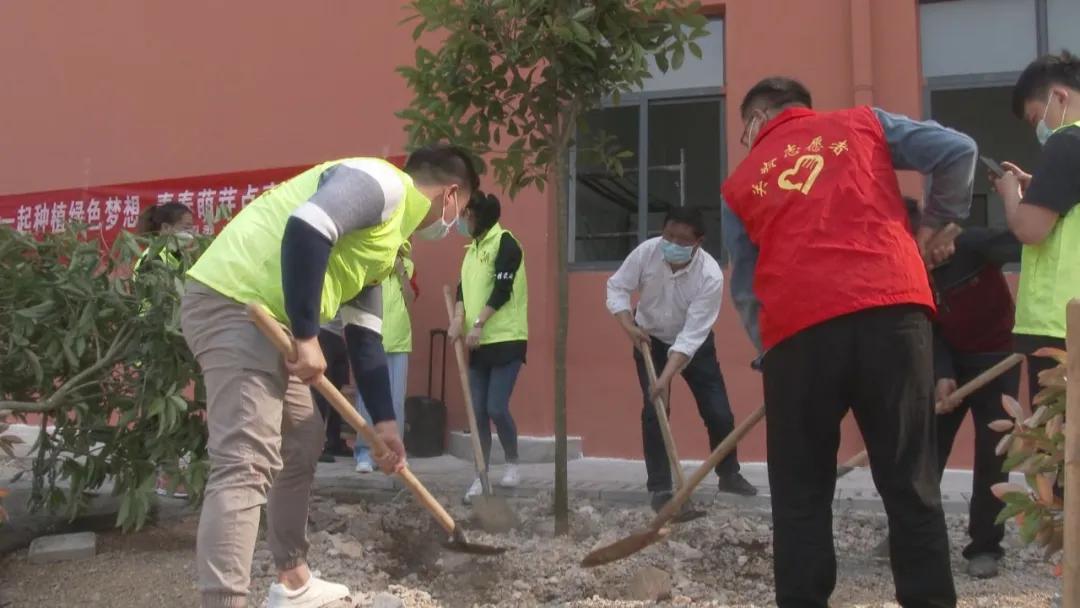 青春校园小说阅读网，梦想与回忆的文学殿堂