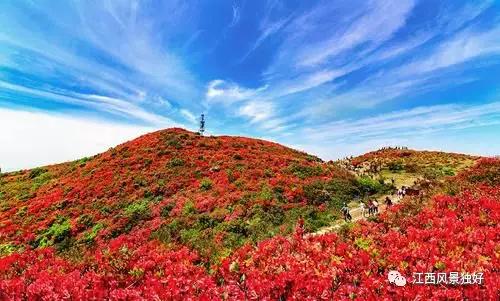 她见青山的温柔，一次免费的全文阅读之旅