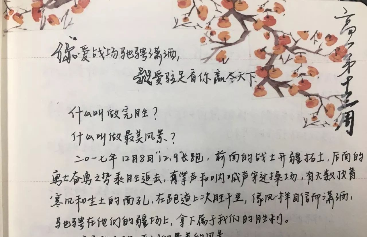 怒婚，一场关于爱与自由的较量——全文免费阅读