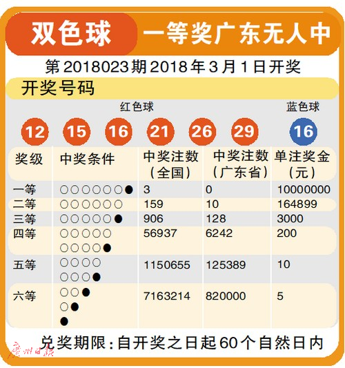 双色球2016004期，一场数字的奇幻之旅