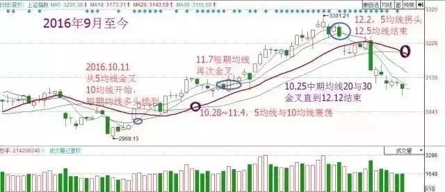 排列5走势图综合版，深度解析与策略应用