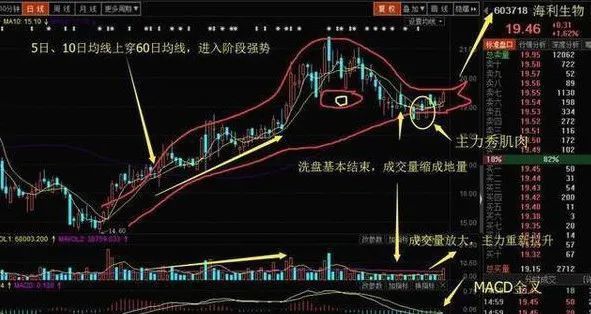 探索北京快八开奖走势图的奥秘，数字背后的规律与预测