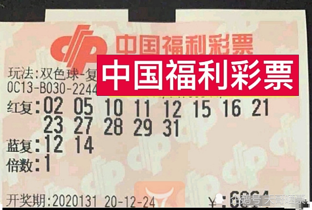 201951期双色球开奖结果揭晓，梦想与幸运的碰撞