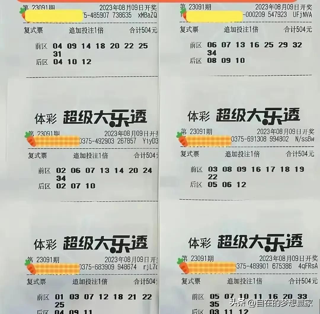 今日大乐透复式晒票，揭秘幸运背后的智慧与策略