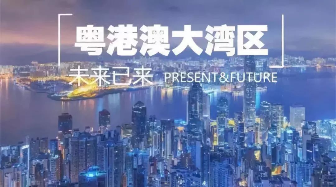 探索未来，新澳门资料2025年免费展望