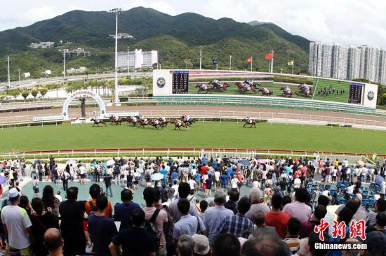 探索香港正版马会资料，一场关于智慧与乐趣的盛宴