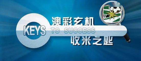 626969澳彩资料大全，2021年老玩家的深度解析与经验分享