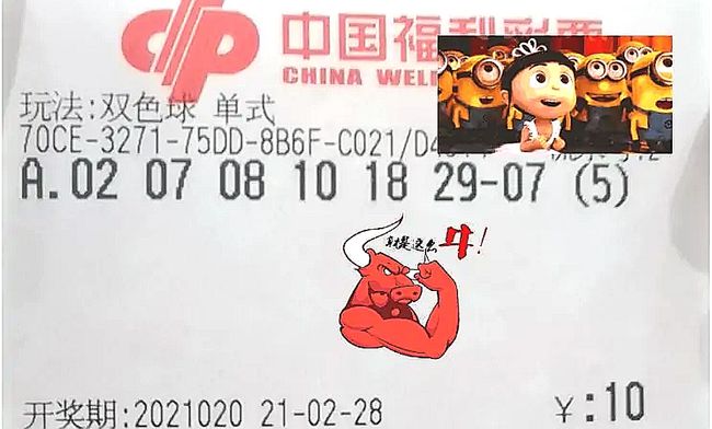 今日双色球结果揭晓，梦想与幸运的碰撞