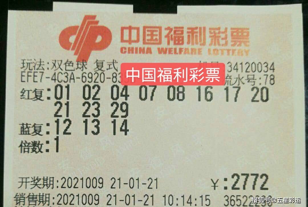 摇一摇头，梦想成真，双色球最新开奖号码揭秘