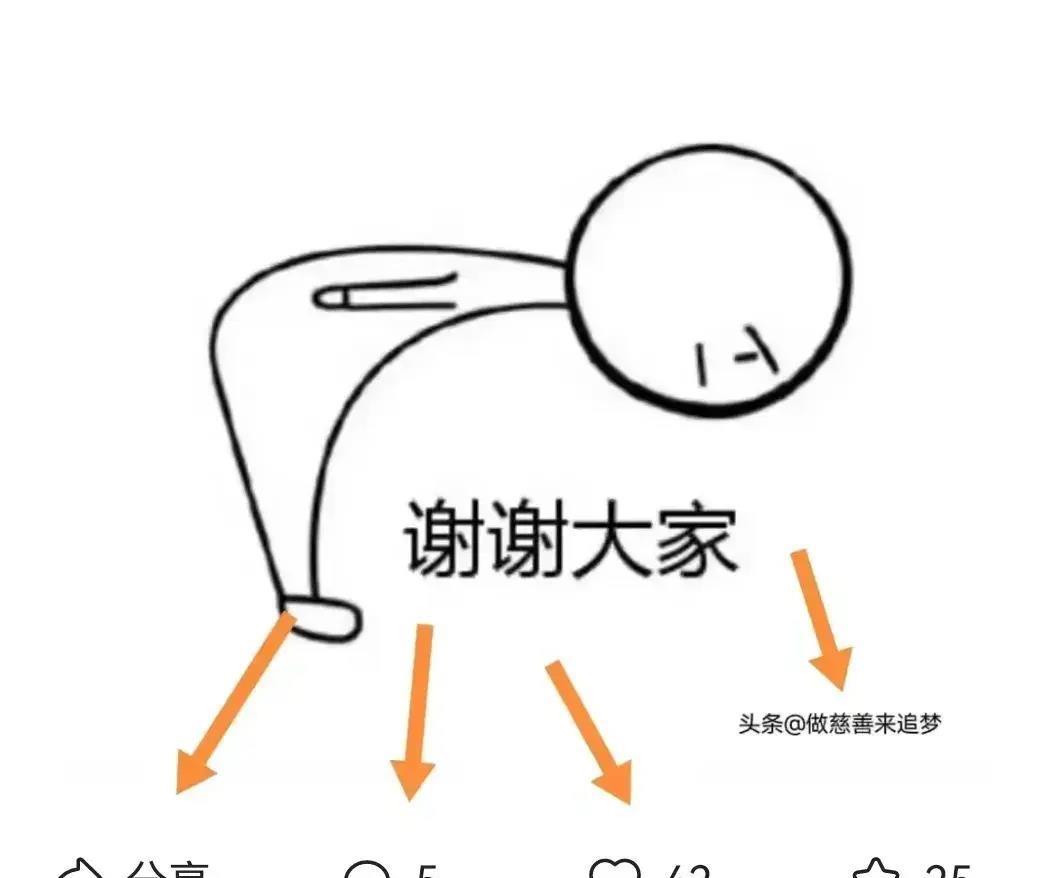 探索双色球，今天开奖结果与号码查询的奥秘