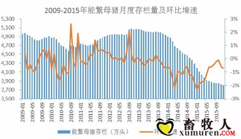146开奖结果，数字背后的偶然与必然