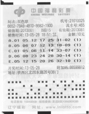 福彩网双色球开奖号2013，梦想与希望的交汇点