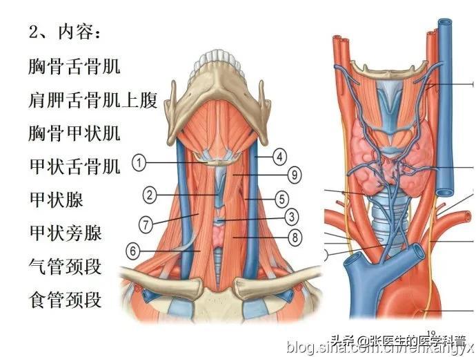 揭秘最准确的3D六码计划，理性与智慧的博弈