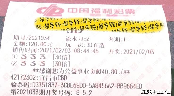 彩友之家3D预测，理性与智慧的结合