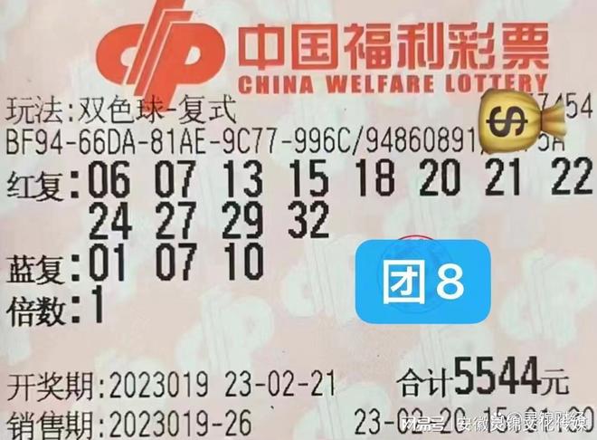 2013年双色球第4期开奖，梦想与幸运的碰撞