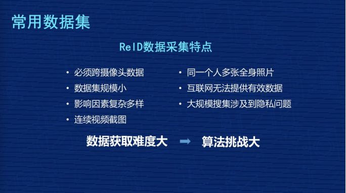 今年跳水比赛数据深度解析，技术、表现与展望