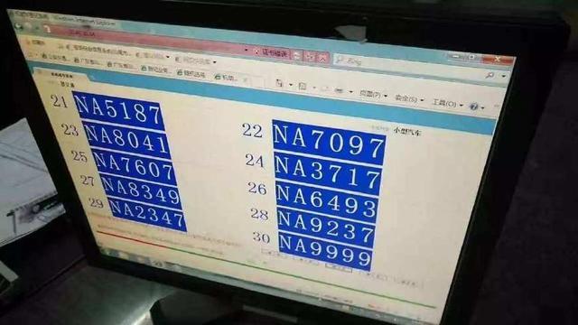 下一期专家预测号码出现概率篮，深度解析与科学选号策略