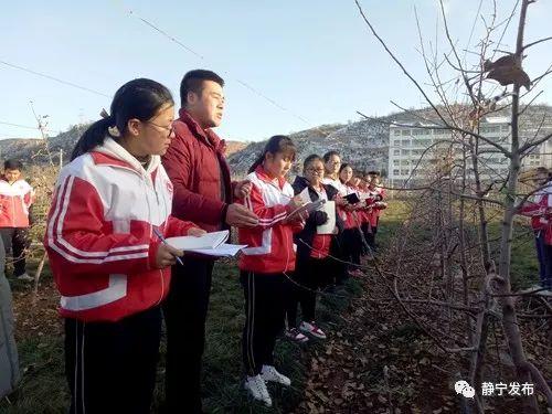 甘肃10选5遗漏数据统计，揭秘数字背后的规律与策略