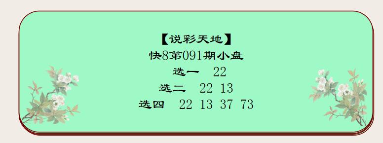 探索10选5遗漏数据工具，解锁彩票分析新视角