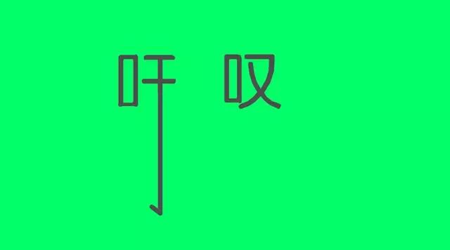 玩转智慧火花，说猜成语的乐趣与文化魅力