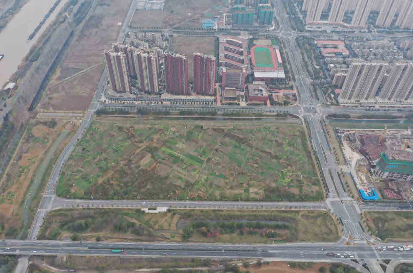 动态澳盘，新浪竞技体育的深度剖析与前瞻