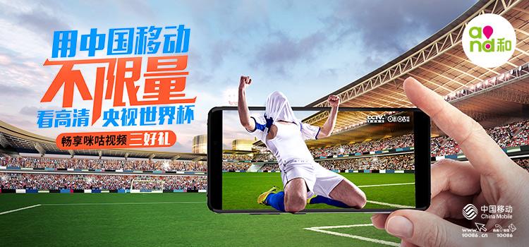免费畅享世界杯，在线直播的魅力与选择