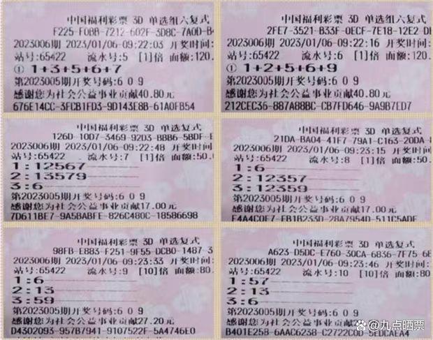 揭秘上期彩票中奖号码，概率与幸运的碰撞