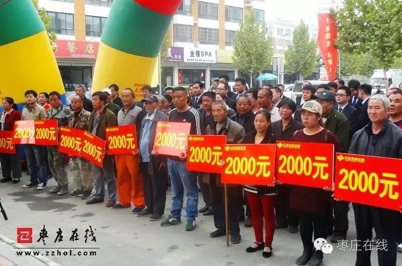 揭秘中福在线连环夺宝程序,游戏背后的逻辑与玩家心理